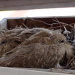 phoca_thumb_m_006 3 Fotogalerie
